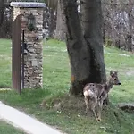 Il Picco 3* Дронеро