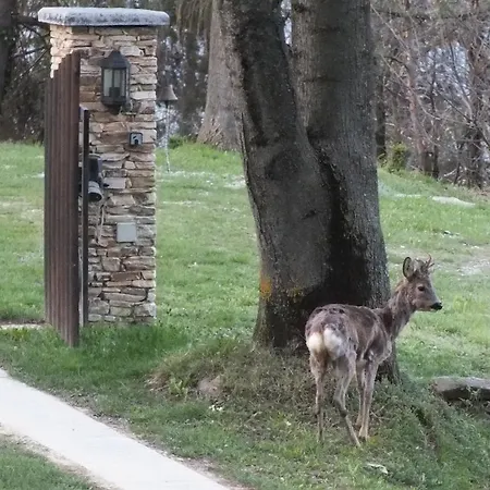 Il Picco 3* דרונרו